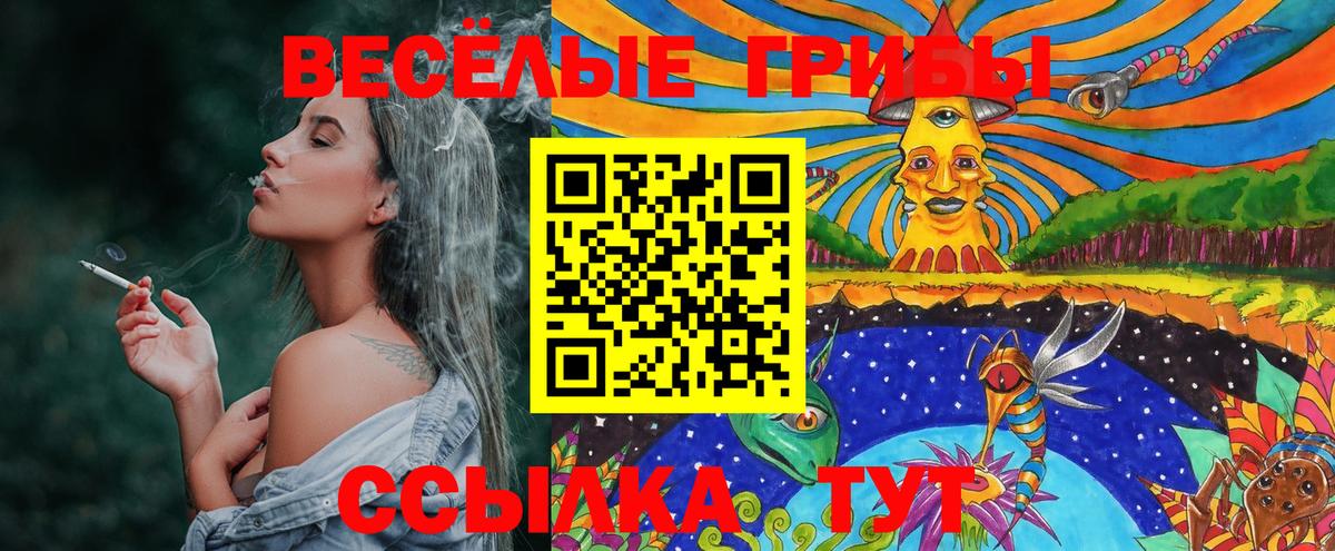 Галлюциногенные грибы ЛСД  Вход с VPN  Прохладный  Псилоцибиновые грибы Cubensis 