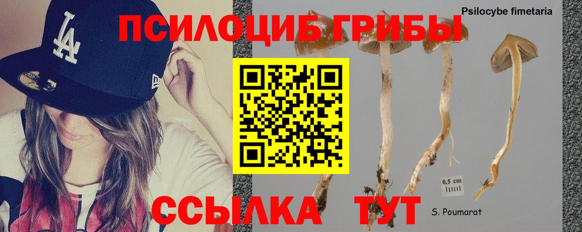 Галлюциногенные грибы MAGIC MUSHROOMS Прохладный
