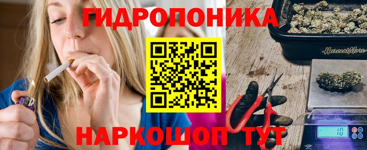 Прохладный  Шишки марихуана план  Вход с VPN  Каннабис White Widow  Шишки марихуана план 